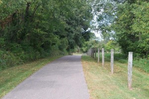 bike trail 023